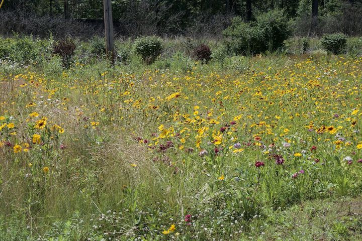 Hotel Exterior 61 of 61