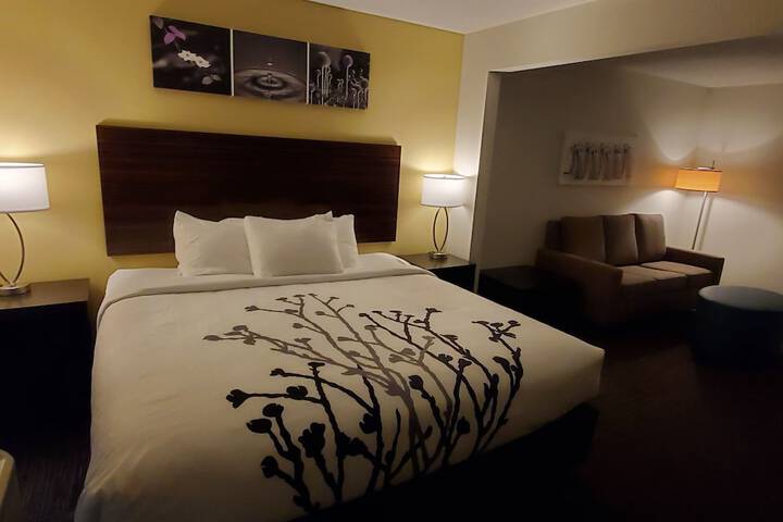 1 King Bed (24 of 29)