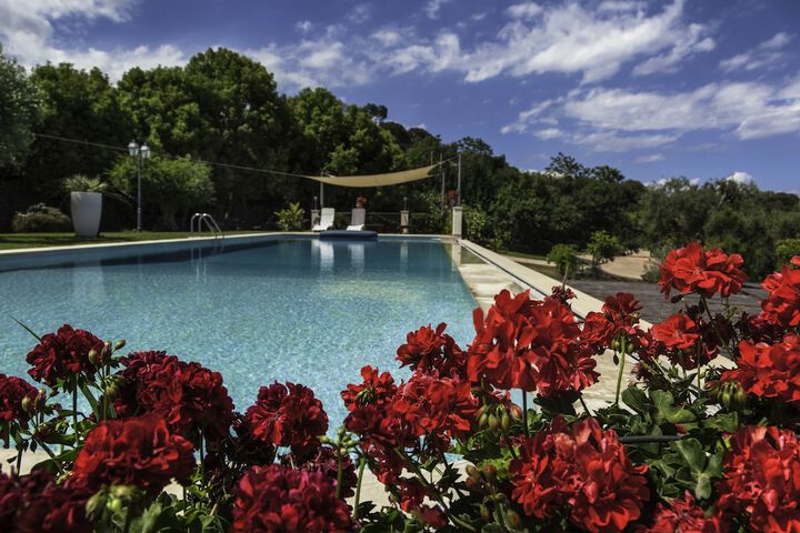 Pool 49 of 94