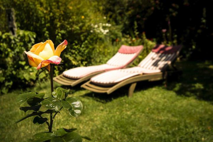Photo 28