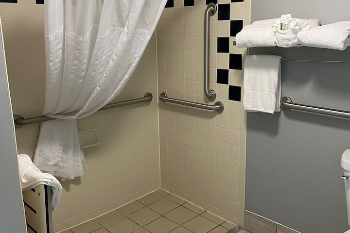 1 King Bed Deluxe Mobility Accessible (17 of 28)