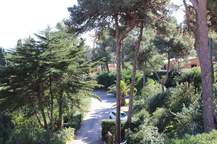 Property Grounds 23 of 27