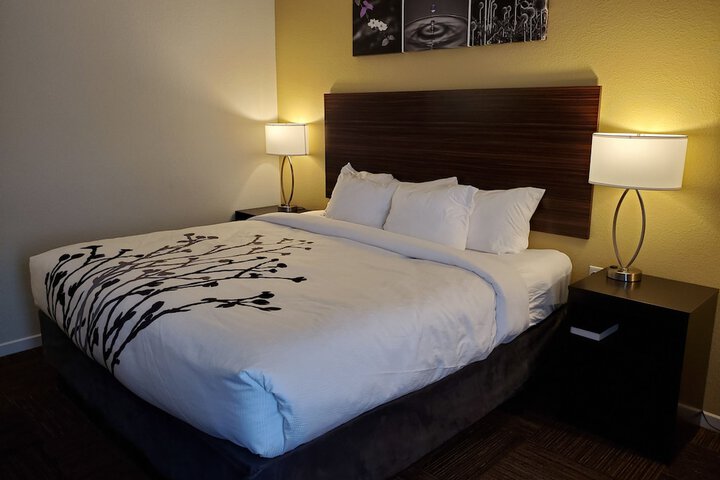 1 King Bed (22 of 29)