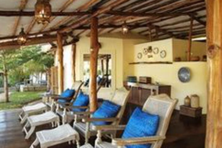 Terrace or Patio