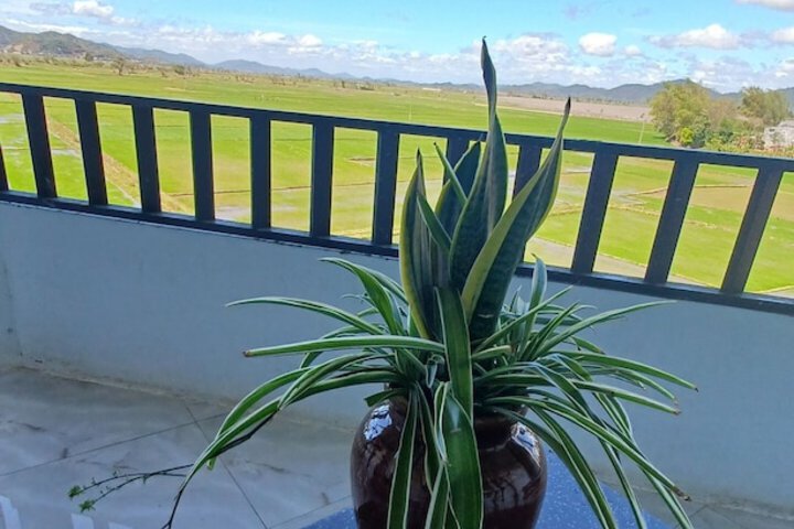 LAK VIEW
