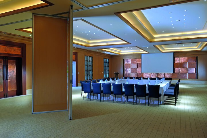 Meeting 208 of 307