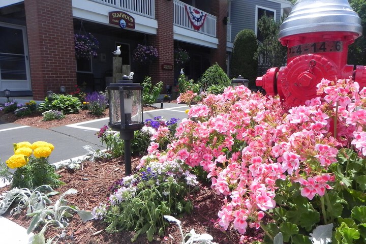 Property Grounds 54 of 66