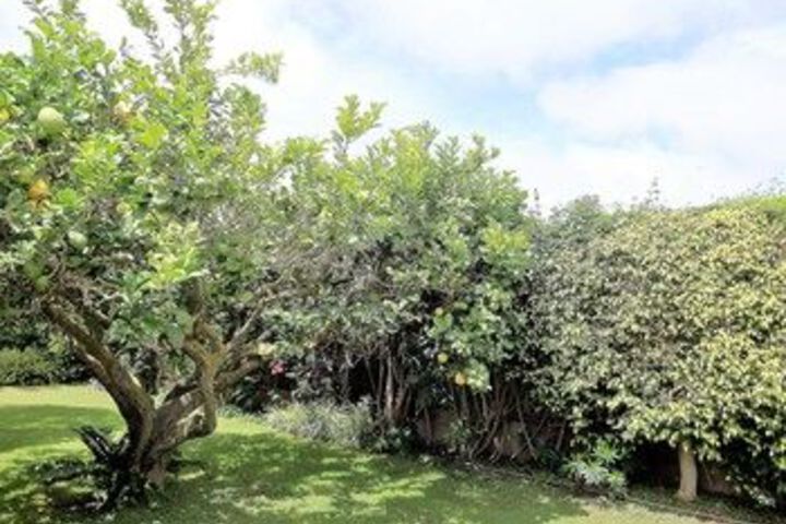 Property Grounds 21 of 24
