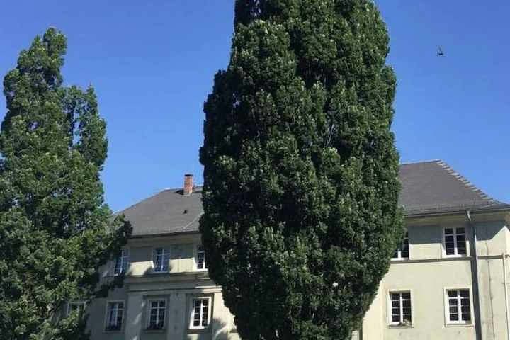 CityApartment Schleiz