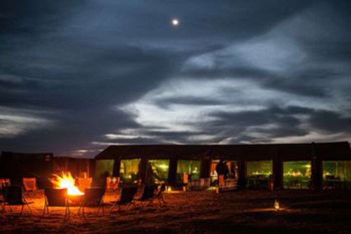 Photo of CHIEFS - NAMAQUA FLOWER CAMPS