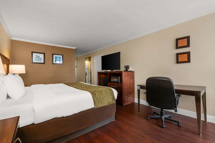 Standard King Bed City View (8 of 11)