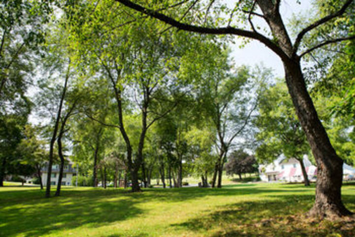Property Grounds 18 of 20