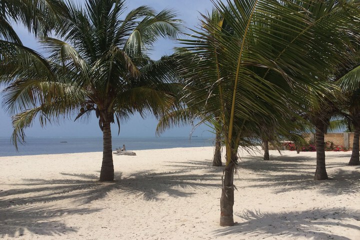 Beach 85 of 138