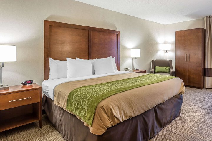 Standard | King Bed (1 of 11)