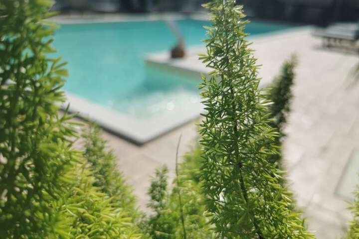 Pool 19 of 59