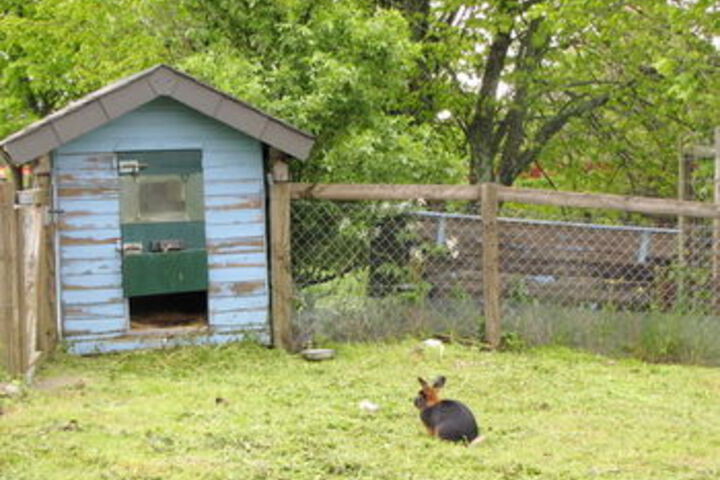Property Grounds 57 of 67
