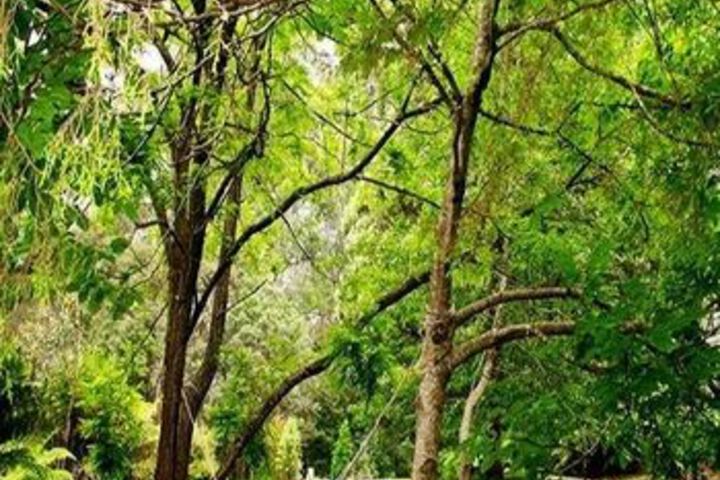 Hotel Exterior 8 of 36