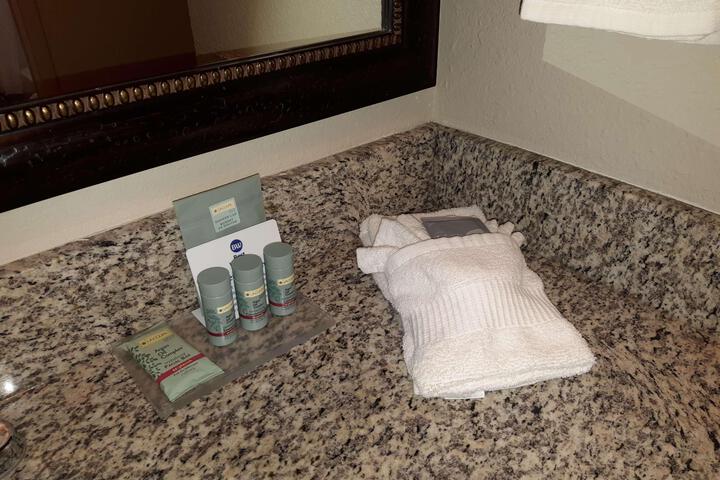2 Queen Beds High Speed Internet Accessible Microwave and Refrigerator, Coffee Maker Iron and Ironing Board Hairdryer Full Breakfast (3 of 4)