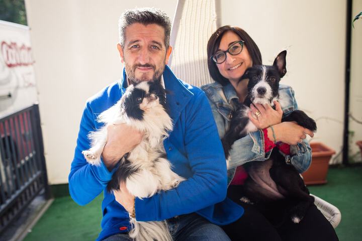Pet Friendly 26 of 43