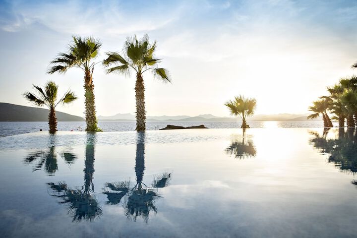 Pool 66 of 155
