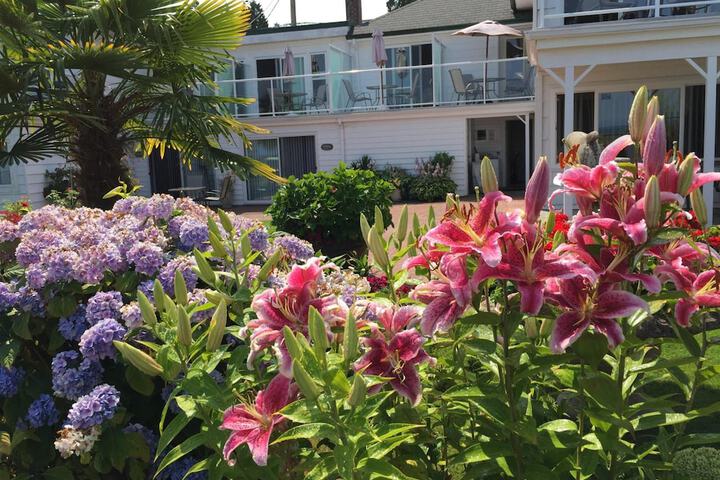 Property Grounds 72 of 82