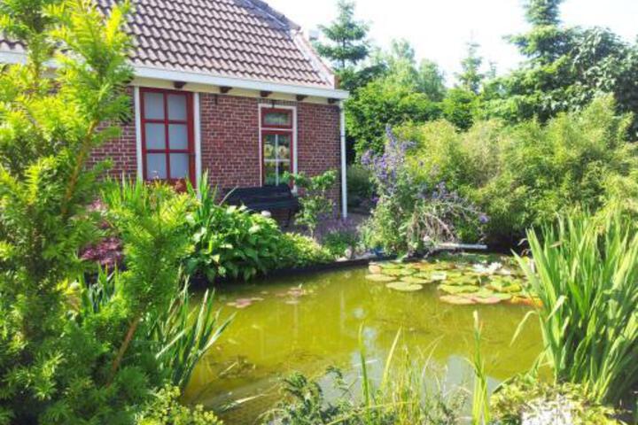 WADDENSTEE