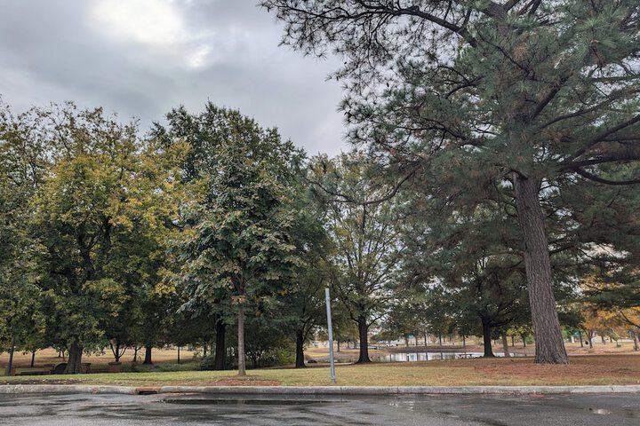 Property Grounds 45 of 52