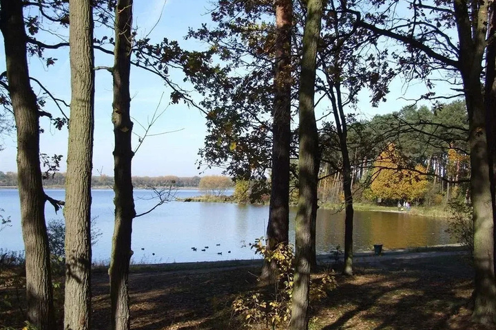Osrodek Wypoczynkowy Forest