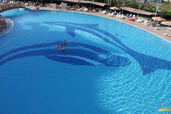 Pool 24 of 120