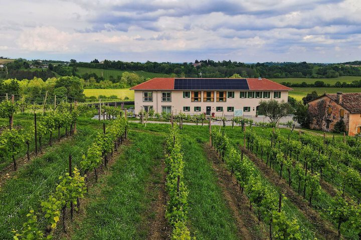 Tenuta Mani Sagge in San Pietro di Feletto