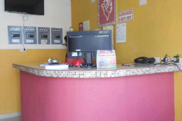 Photo 6