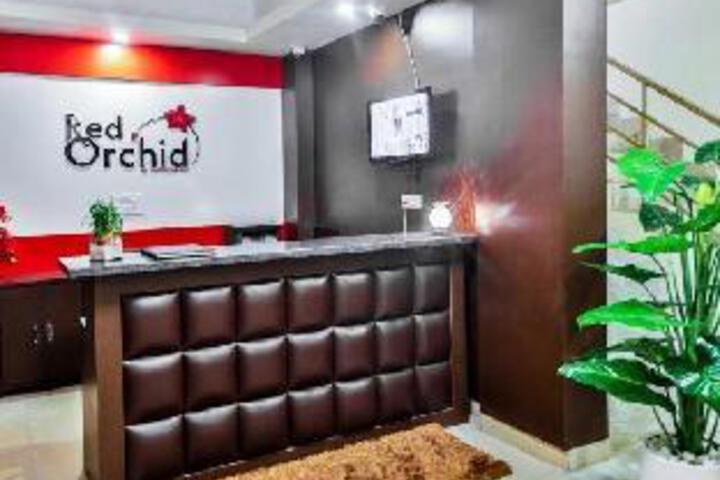 Red Orchid