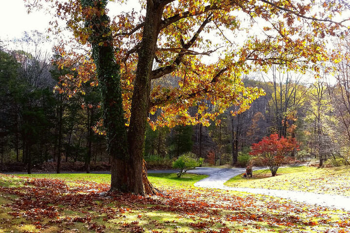 Property Grounds 48 of 48