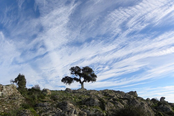 Hiking