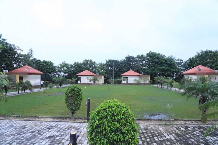 Room 5 of 19