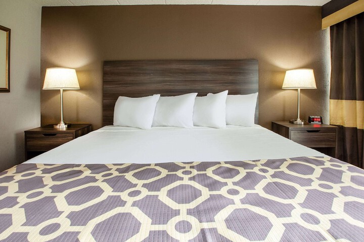1 King Bed (6 of 9)