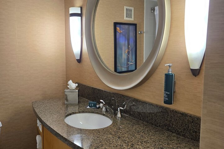 1 King Mobility Accessible with Bathtub (11 of 19)