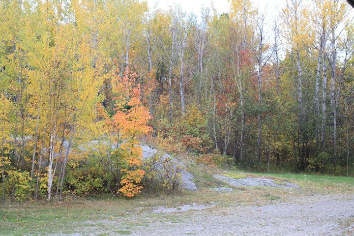 Hotel Exterior 79 of 105