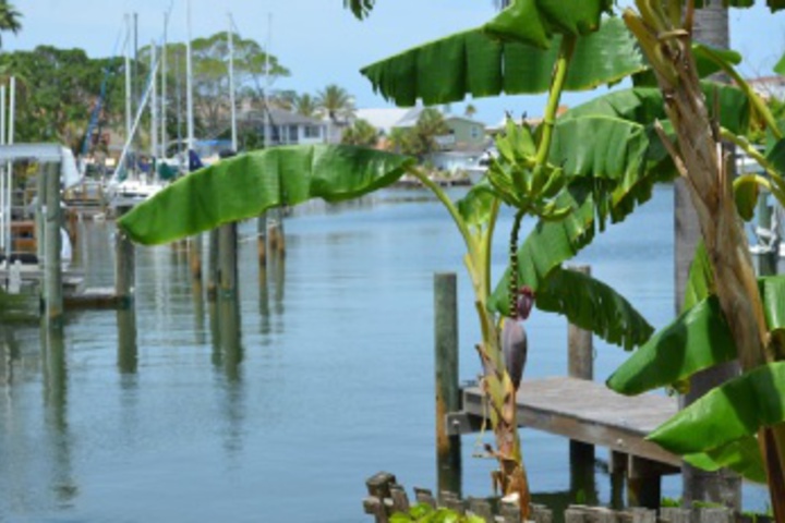 Hotel Exterior 22 of 576