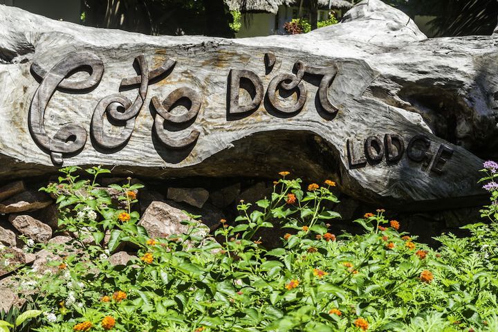 Hotel 56 of 67