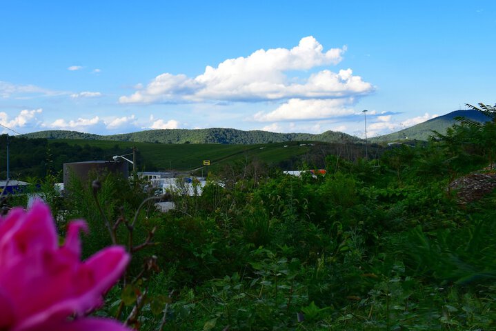 Mountain view