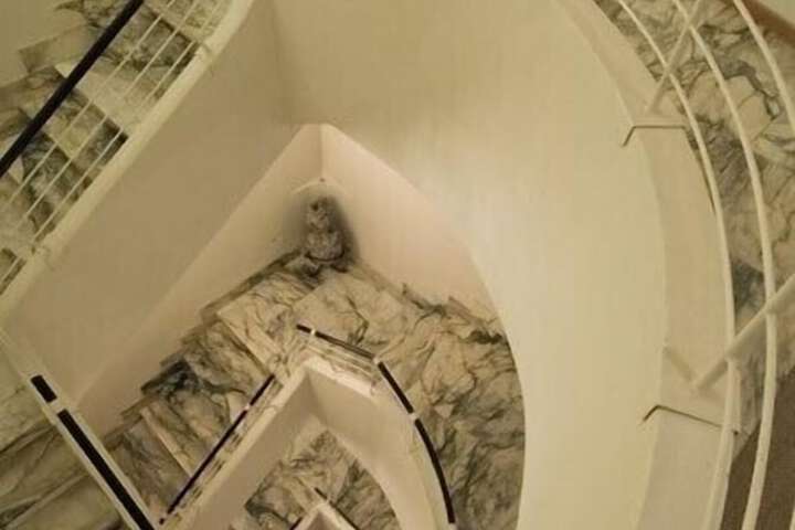 Hotel Interior 88 of 92