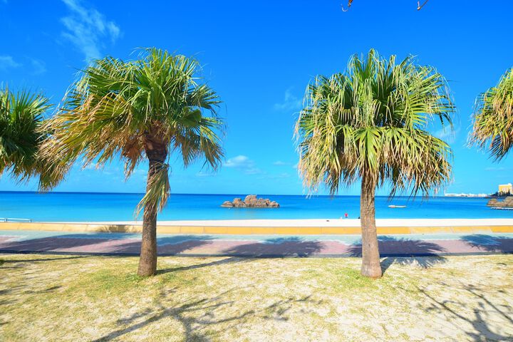 Beach 185 of 193