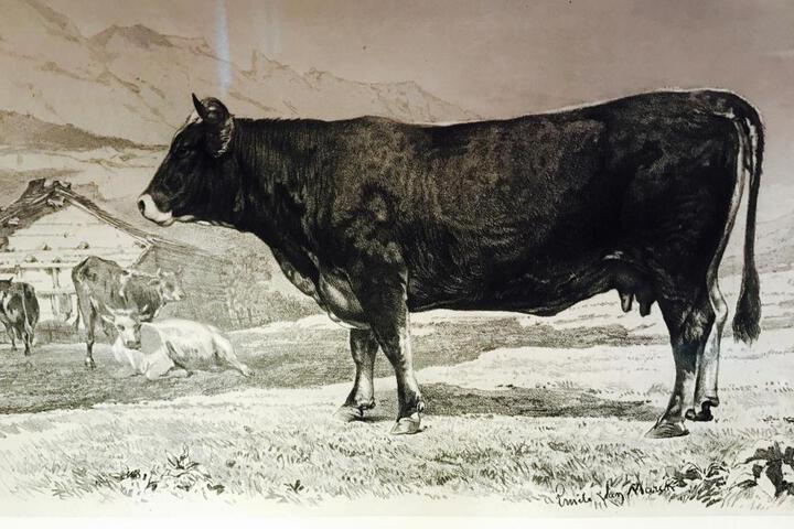 General 43 of 49