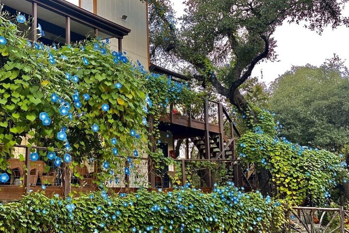 Terrace/Patio 125 of 147