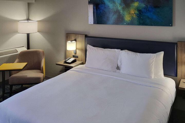 1 King Bed Accessible (8 of 45)