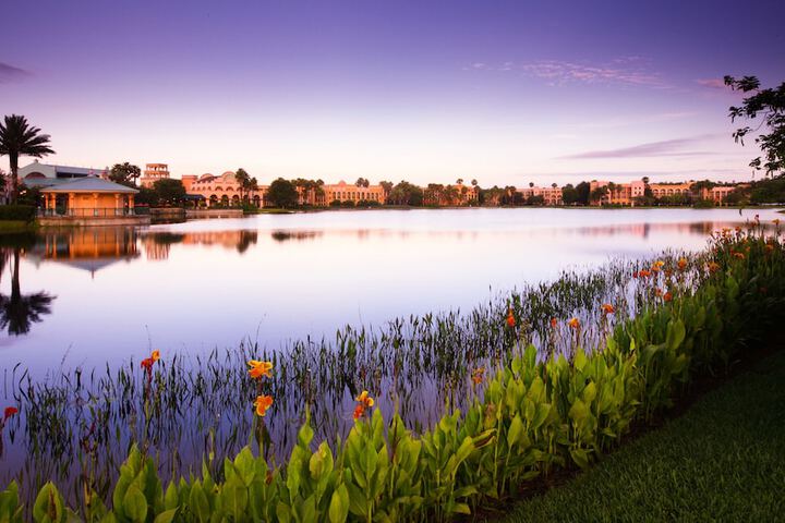 Property Grounds 63 of 69