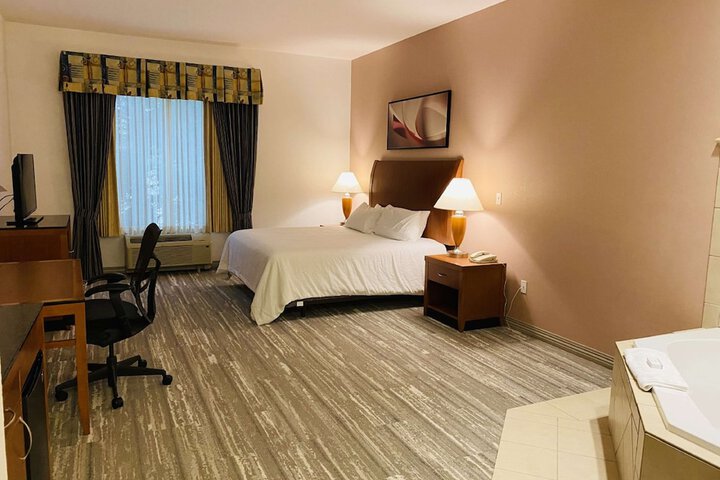 1 King Bed Accessible (19 of 24)