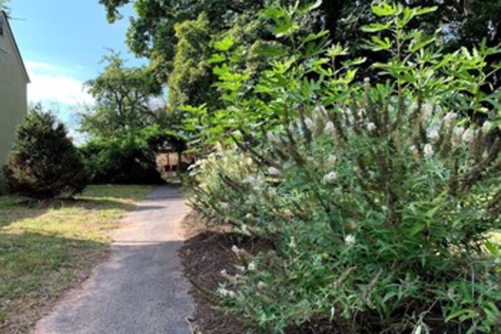Property Grounds 30 of 44