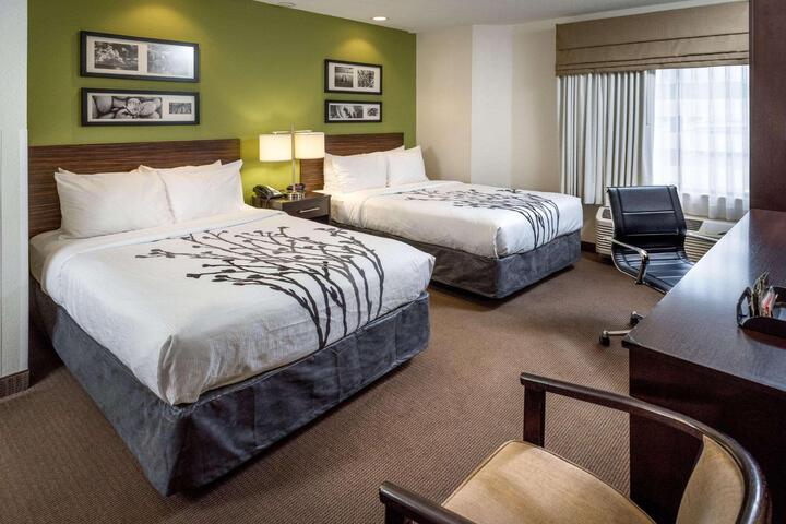 Standard Room, King or Two Doubles (5 of 8)